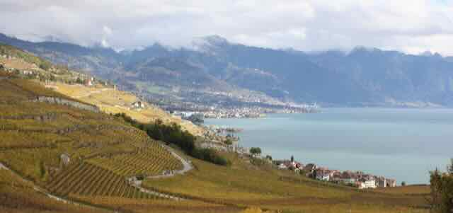 Le vignoble de Lavaux