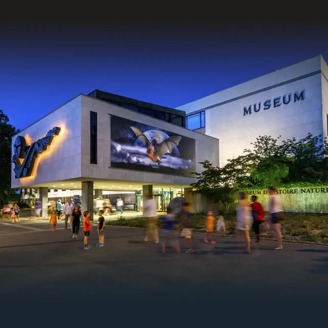 Musée d'Histoire Naturelle