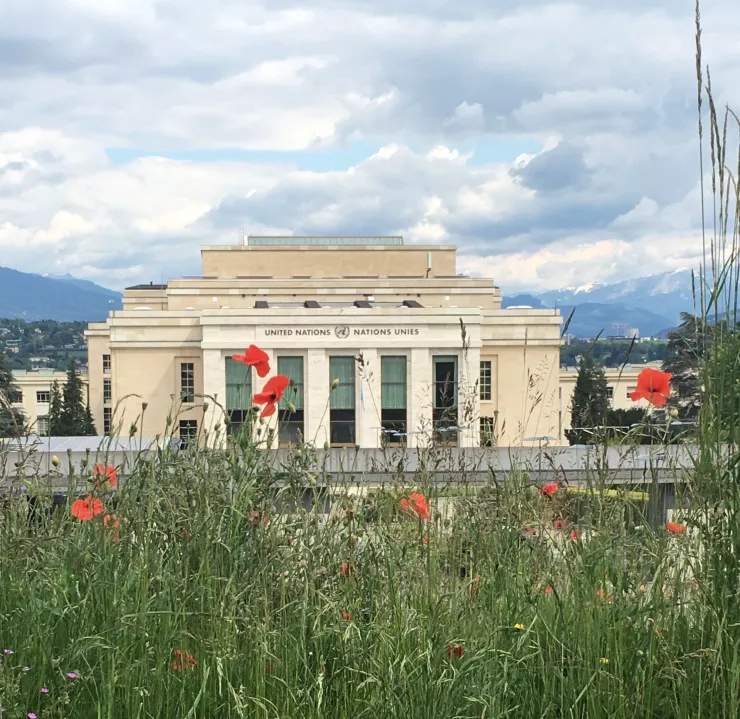 La Genève internationale