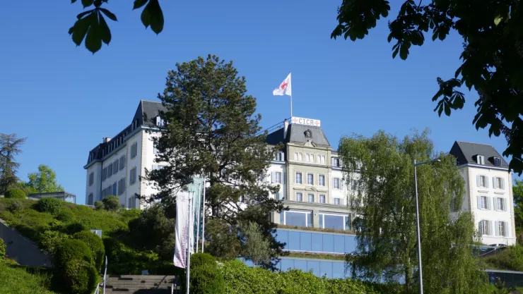 Dunant, Moynier, Dufour et le Comité International de la Croix-Rouge